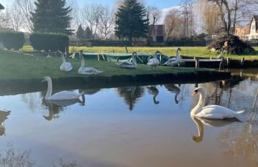 Apartments im Spreewald - Foto 24