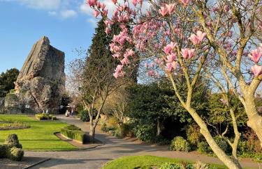 Bell Cottage right in the heart of Bridgnorth - Foto 20
