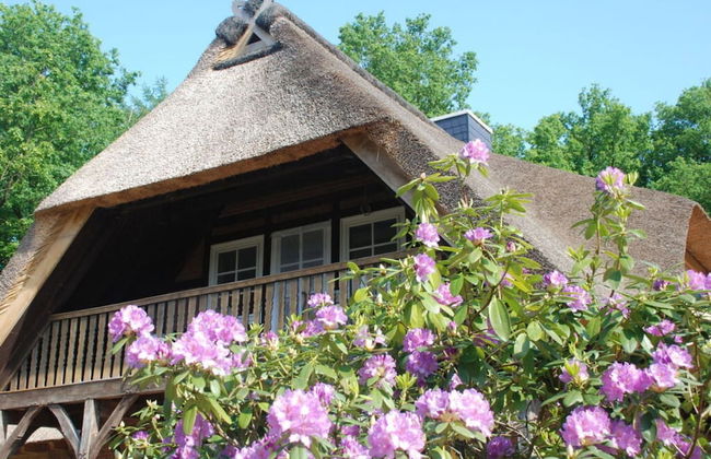 Apartment at the Eichenpark - Foto 1