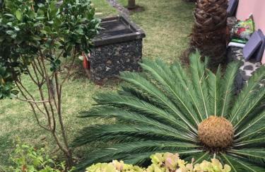 Casa do Poço Funchal - Foto 53