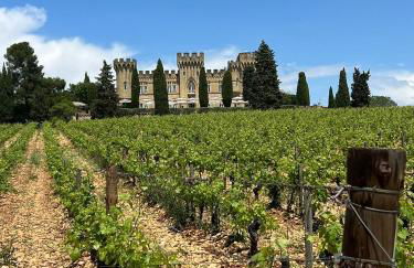 Sublime Mas de Lou à 15 minutes d'Arles - Foto 66