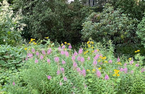 Architektenhaus Hello in Erbach mit High End Interieur zentral aber ruhig - Foto 38