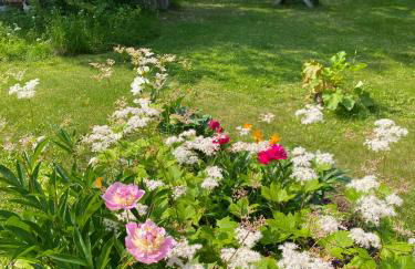 Talkeetna Gardens, Cabins & Cottages - Foto 30