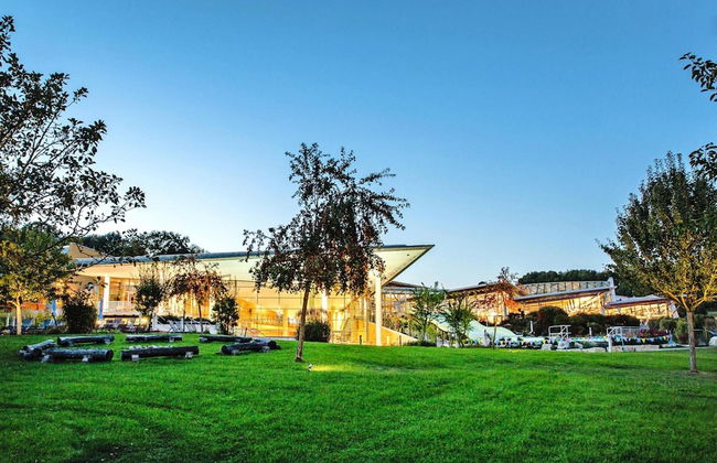 Holiday Home With Sauna in Mistelgau-obernsees - Photo 25