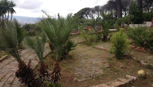 Villa Gianna - Foto 3