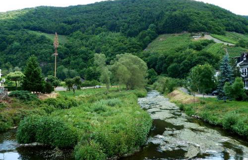 Relaxen im alten Winzerhaus Fewo EG - Foto 65
