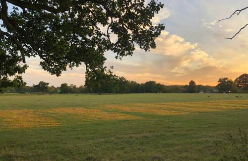 Stylish two bedroom apartment near Rookery Hall - Foto 25