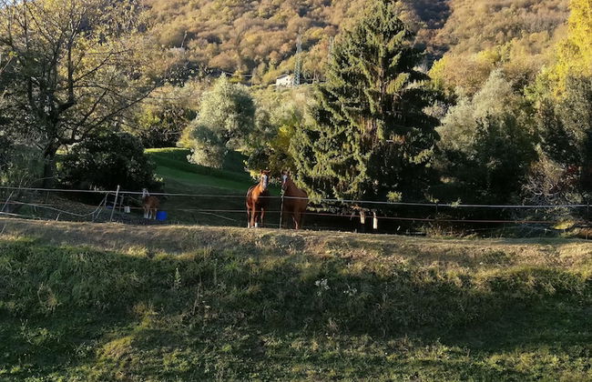 Cottage degli Ulivi - Foto 11