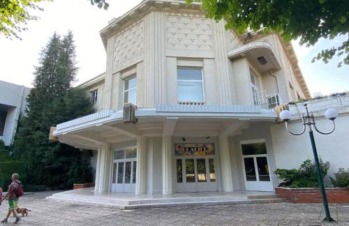 Charming appartement with roof terrace in Vittel - Foto 19