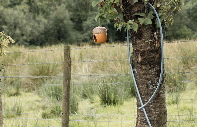 Luxury Waterfront Self-Catering Cabins - Photo 60