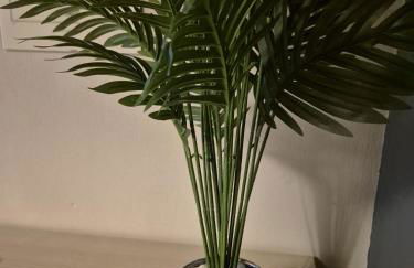 Nonnos panorama - Foto 43