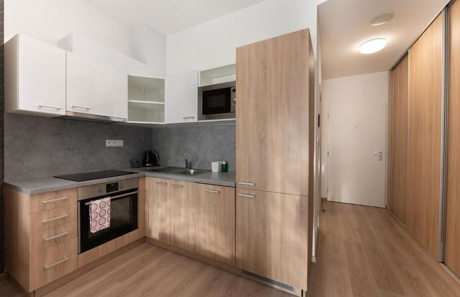 Metropolitan Star Apart Hotel - Photo 26