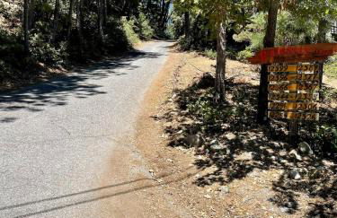 Lake retreat Nevada city cabin - Photo 4