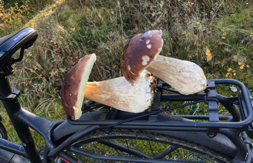 Landhaus Silbach - Photo 42