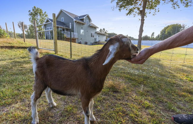 The Goat House Waterfront Hottub 3 Acres - Foto 67