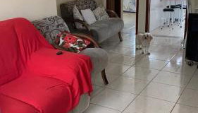 Casa aconchegante - Foto 1