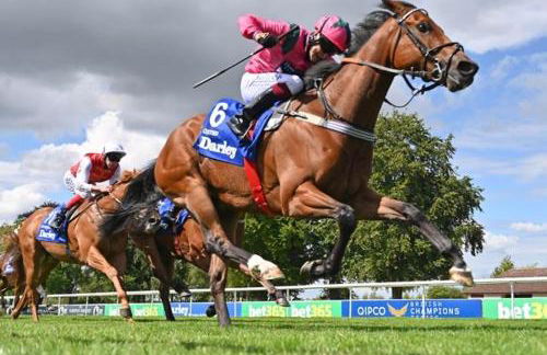 The Annexe II - Foto 3