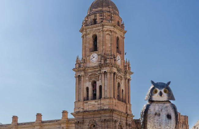 Apartamentos Gibralfaro - Foto 1