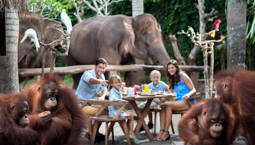 Visite au Zoo de Bali et petit-déjeuner avec les orangs-outans - Photo 1