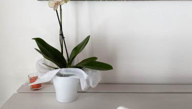 Agriturismo Albana - Foto 2