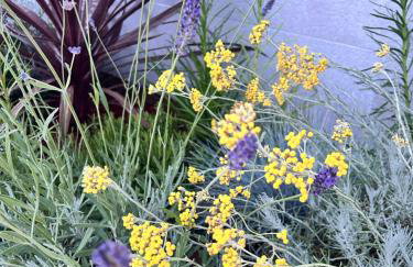 V Residence Apartments - Foto 14