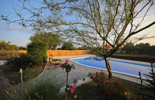 Villa Piljusic - Photo 19