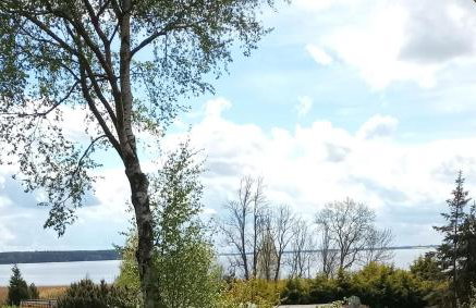 Fischstübchen Neeberg Fewo 6 – Seeadler - Foto 1