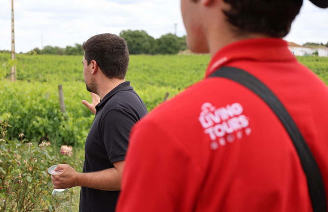 Excursion à Évora et ses caves - Photo 3