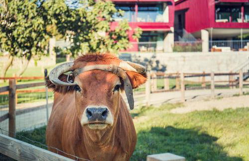 Quintãs Farm Houses - Foto 40