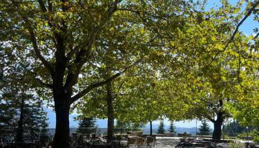 Epirus Historic home 1903 - Foto 2