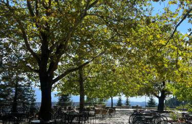 Epirus Historic home 1903 - Foto 2