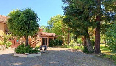 Le Moulin du Comte - en gîte - Foto 3, Garden view