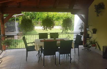 APARTMANI KSENIJA - Foto 11