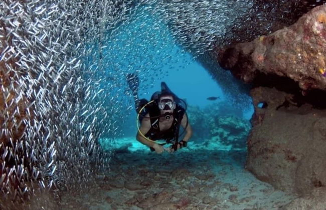 The Grove - Photo 50