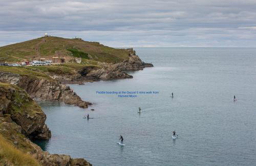 Harvest Moon - Foto 38