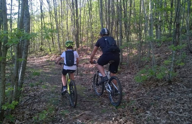 Red House/casa Rossa - Near Civita Di Bagnoregio - Foto 55