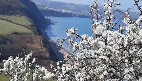 Red Kite Cottage - Foto 2