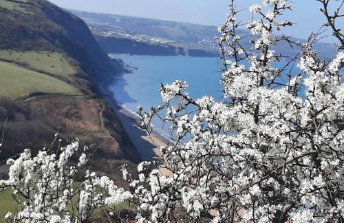 Red Kite Cottage - Photo 2