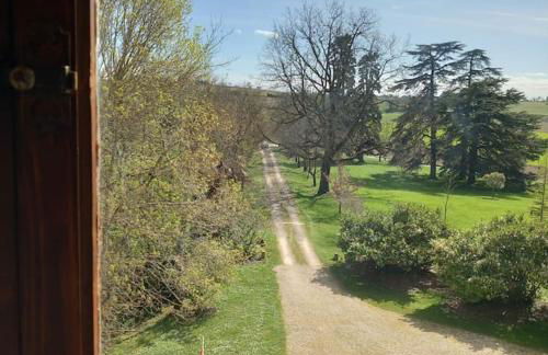 Château Tour du XIII siècle Gazaupouy - Photo 7