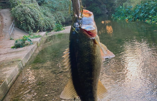 Son's Rio Cibolo - Glamping Cabin H - Foto 23