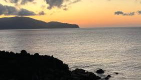 Ocean View Pico - Photo 3