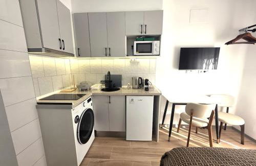 203 Studio with Kitchenette & Private Bath - Foto 1