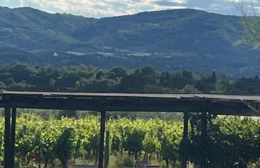 Agriturismo San Jacopo - Foto 32