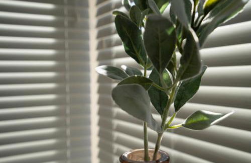 Church Road Retreats - The Reef - Photo 29