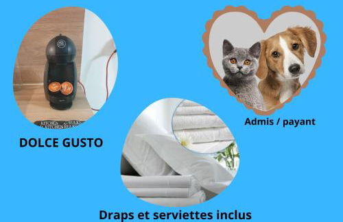 Bel Appartement T2 Climatisé avec piscine Poitiers-Futuroscope-CREPS de Poitiers - Foto 6