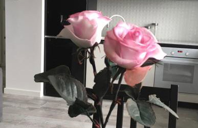 Apartament Miętowa Zebra - Foto 25