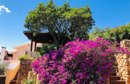 Bilocale degli Oleandri vista mare Porto Taverna - Foto 15