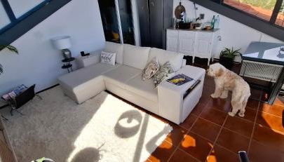 Sally's Loft - Penthouse - Honeymoon suite - Foto 5