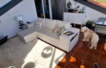 Sally's Loft - Penthouse - Honeymoon suite - Foto 5