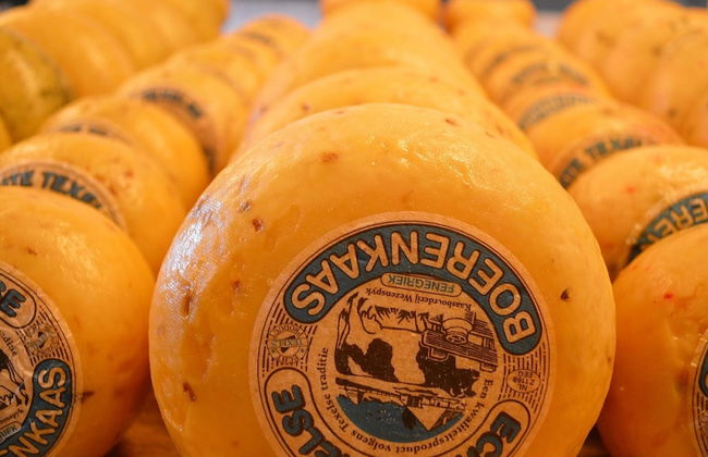 Holiday Home in De Cocksdorp - Foto 17